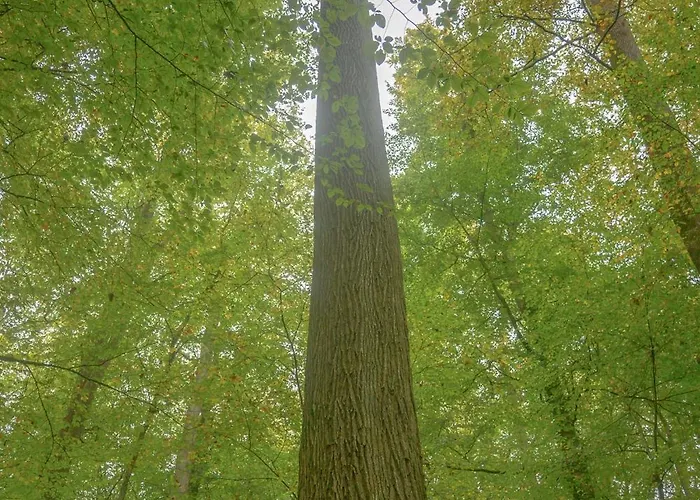Caberce Casa de Férias *