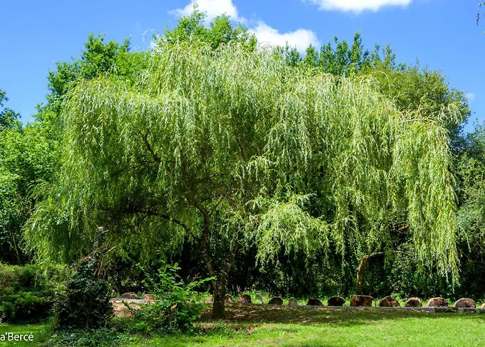 Caberce * Thoire-sur-Dinan